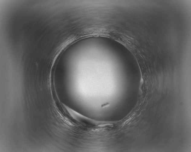 X0000057100148200509121017