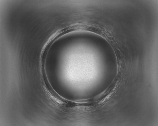 X0000057100150200509121017