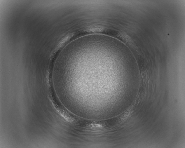 X0000057100159200509121017