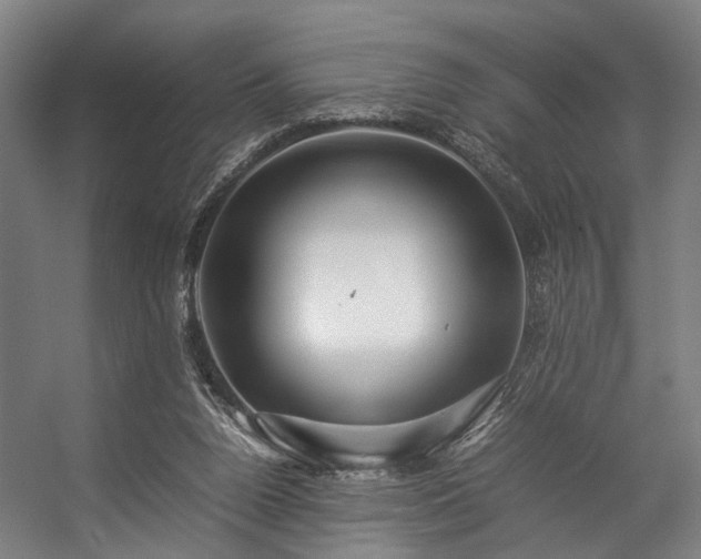 X0000057100160200509121017