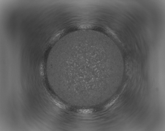 X0000057100161200509121017