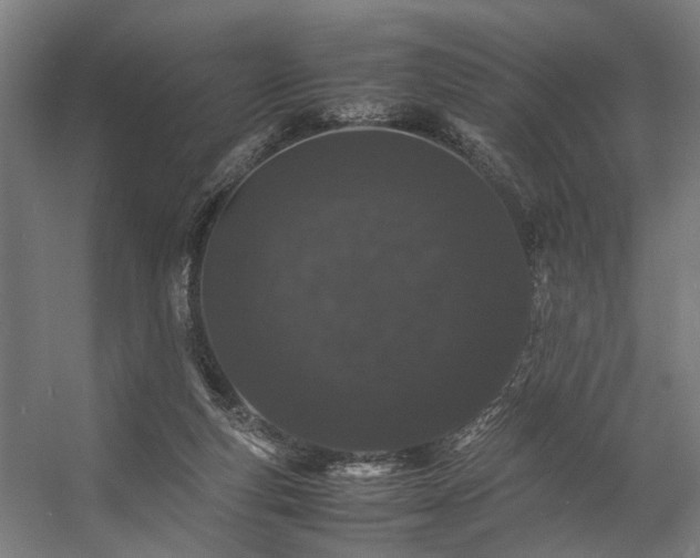 X0000057100163200509121017