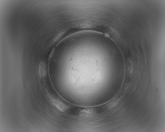 X0000057100164200509121017