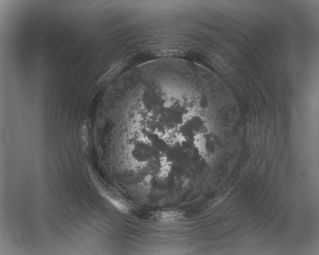 X0000057100165200509121017