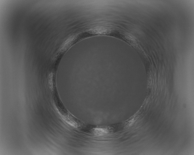 X0000057100167200509121017