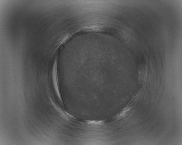 X0000057100168200509121017