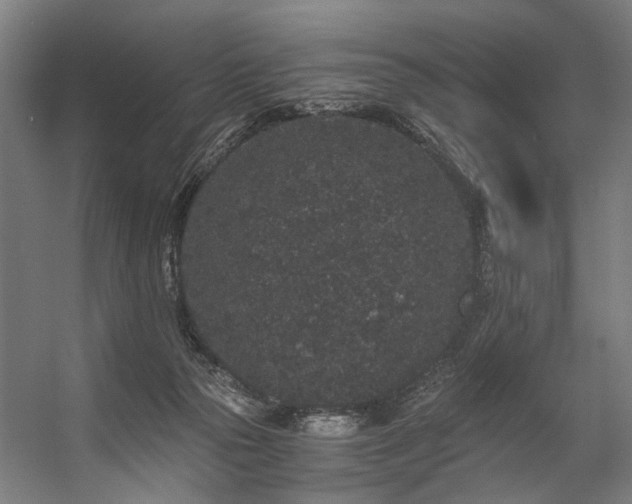 X0000057100169200509121017