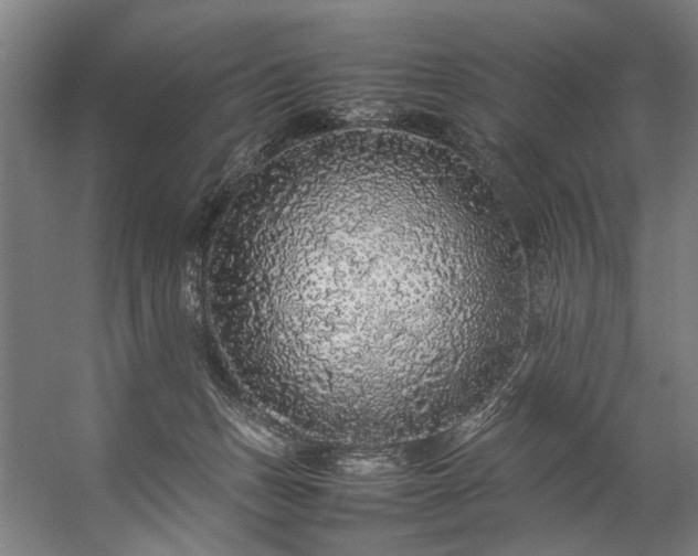 X0000057100175200509121017