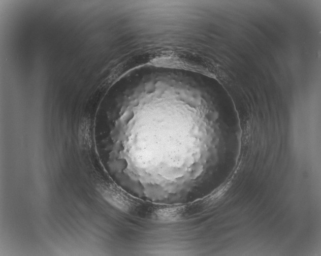 X0000057100178200509121017