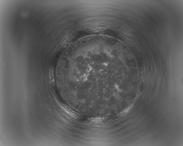 X0000057100182200509121018