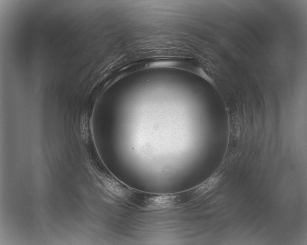 X0000057100184200509121018