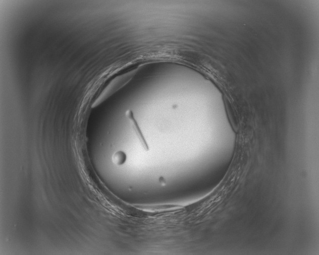 X0000057100193200509121017