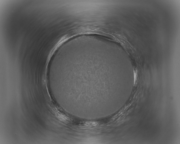 X0000057100195200509121017