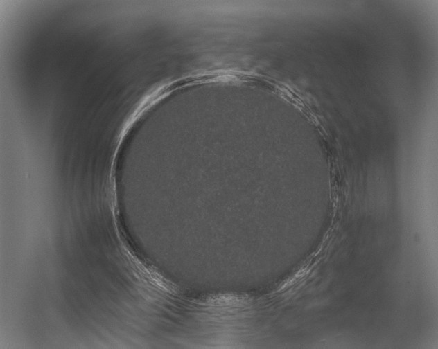 X0000057100198200509121017