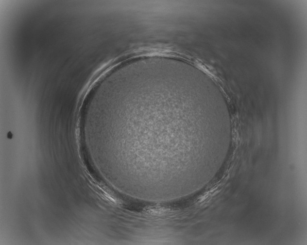 X0000057100199200509121017