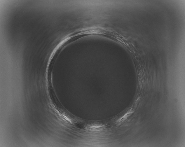 X0000057100200200509121017