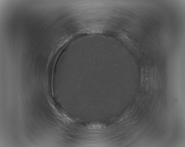 X0000057100202200509121017