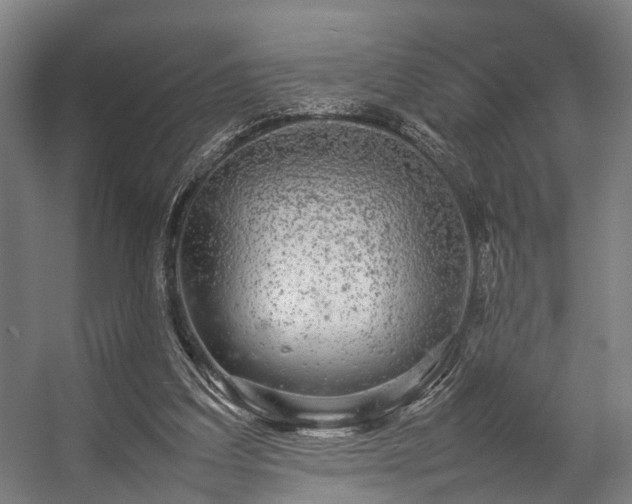 X0000057100203200509121017