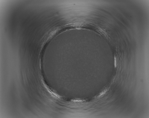 X0000057100205200509121017