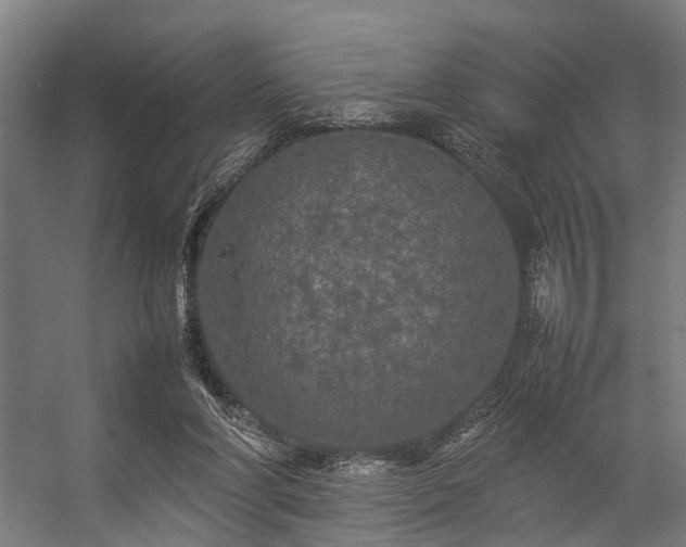 X0000057100206200509121017