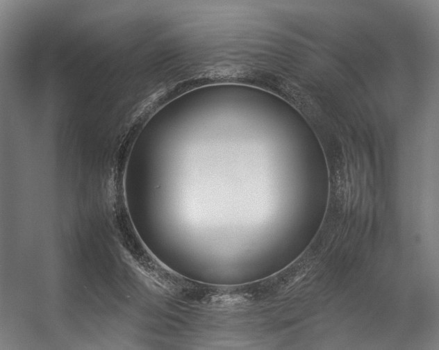 X0000057100208200509121017