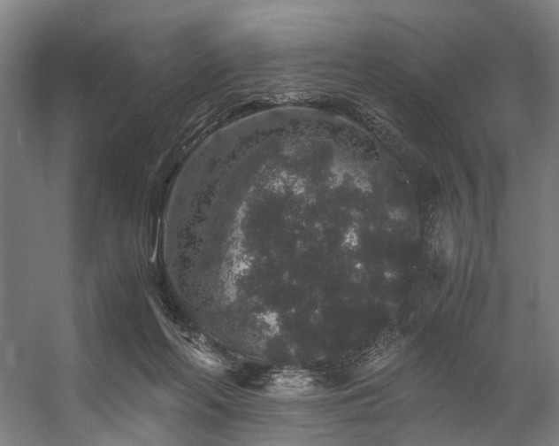 X0000057100214200509121017