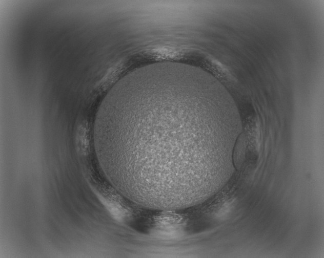 X0000057100215200509121016