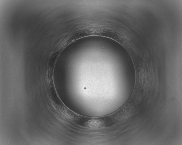 X0000057100218200509121016