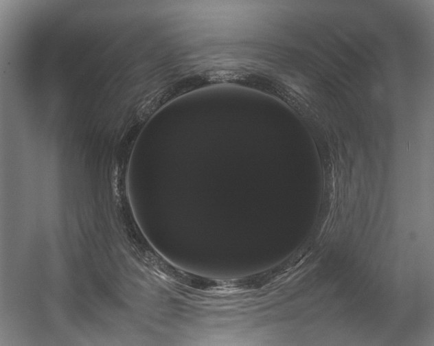 X0000057100219200509121016