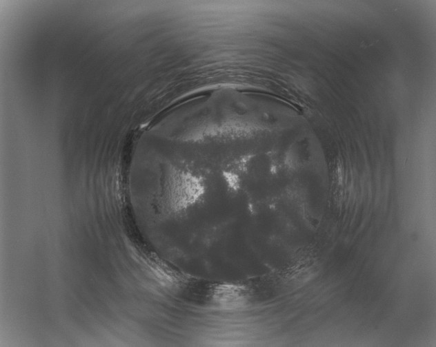 X0000057100222200509121016