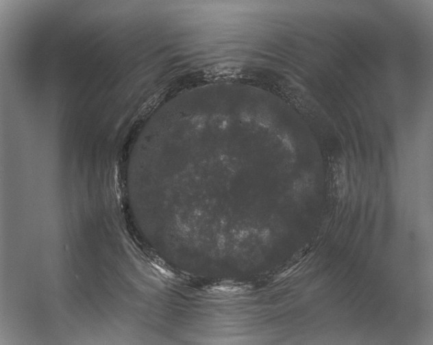 X0000057100224200509121016