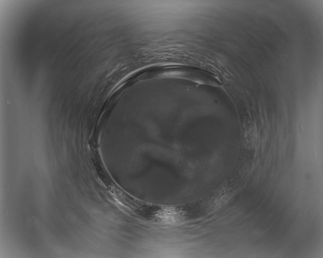 X0000057100231200509121016