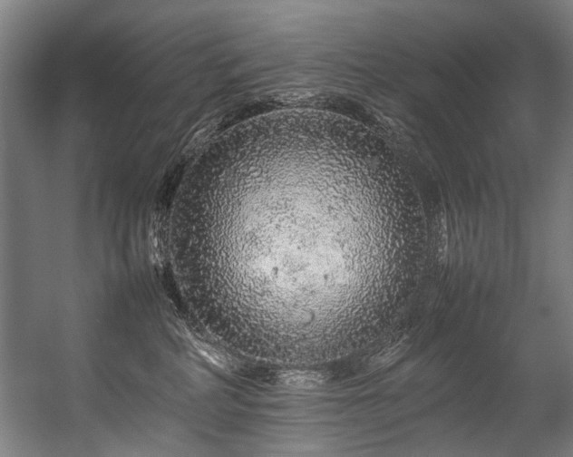 X0000057100234200509121016