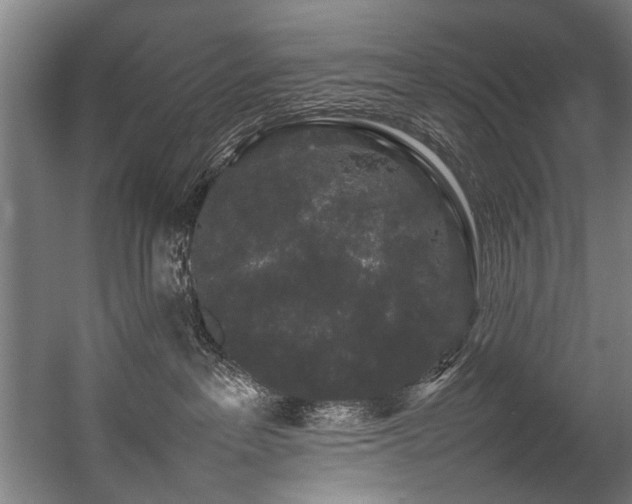 X0000057100237200509121016