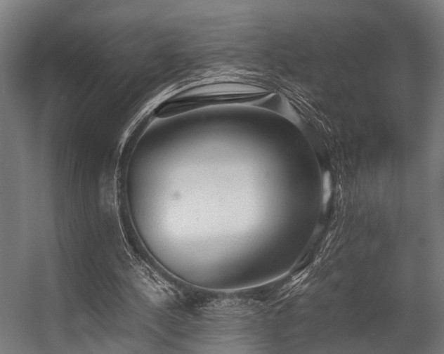 X0000057100244200509121015