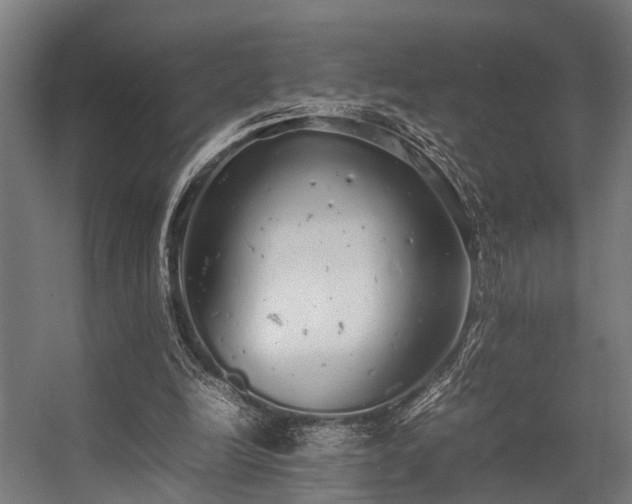 X0000057100246200509121015