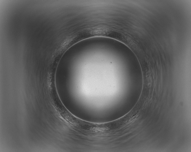 X0000057100255200509121015