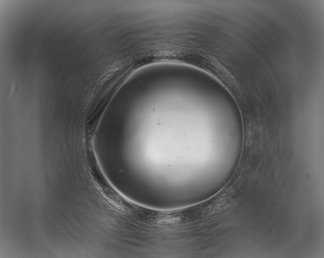 X0000057100257200509121016