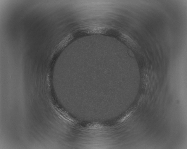 X0000057100258200509121016