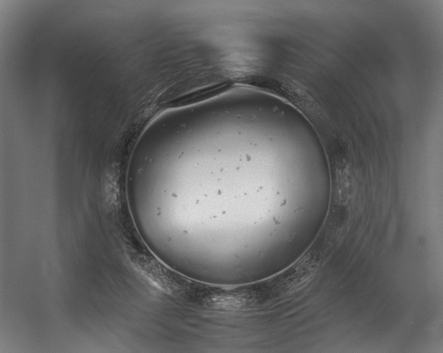 X0000057100259200509121016