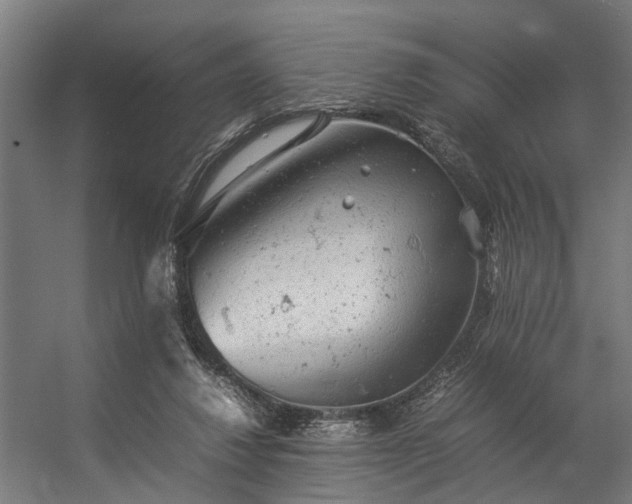 X0000057100260200509121016