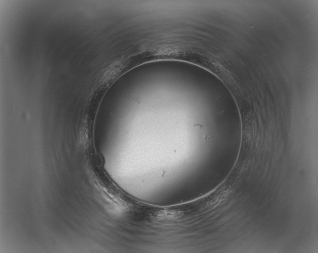 X0000057100261200509121016