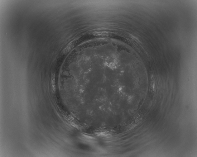 X0000057100267200509121016