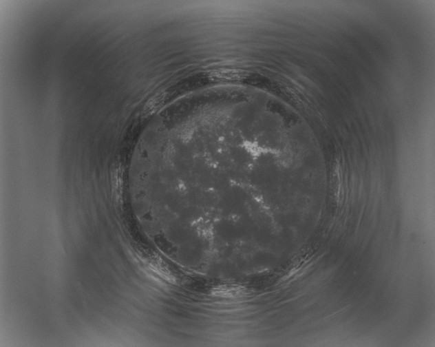 X0000057100271200509121016