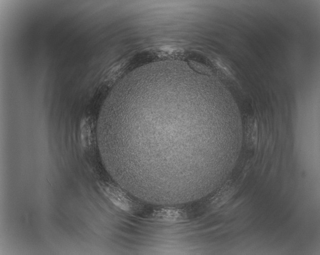 X0000057100276200509121016