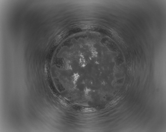 X0000057100277200509121016