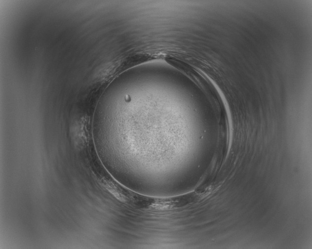 X0000057100280200509121016