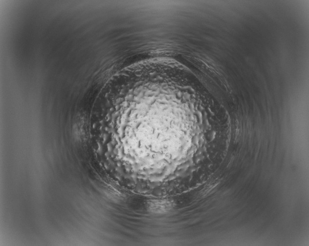 X0000057100281200509121016