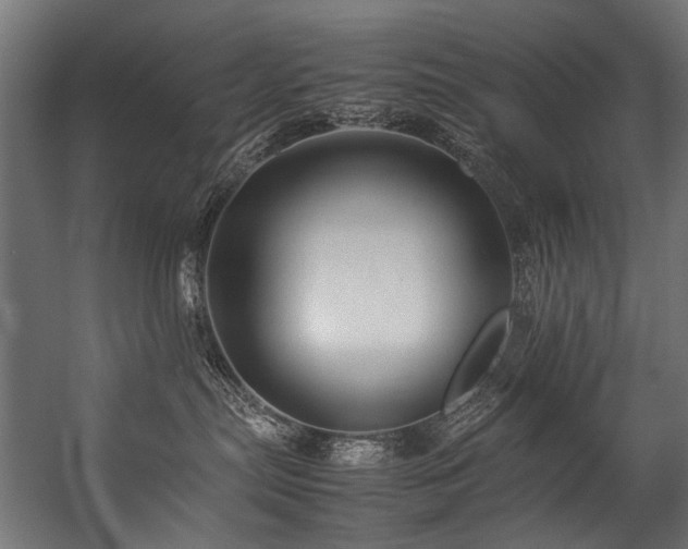 X0000057100287200509121016