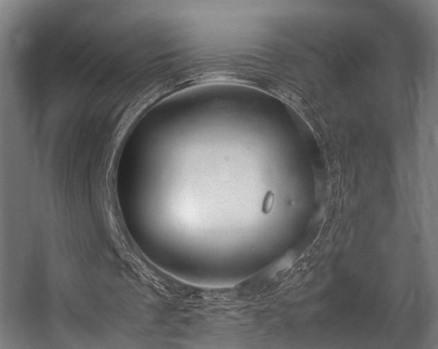 X0000057100289200509121015